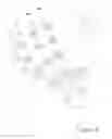 Fig. 04 - Mechanical grasping device