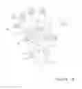 Fig. 17 - Mechanical grasping device