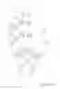 Fig. 20 - Mechanical grasping device