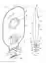 Fig. 02 - Ostomy appliance