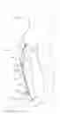 Fig. 01 - And use of a leg support exoskeleton