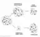 Fig. 01 - METHODS FOR TREATING CANCER