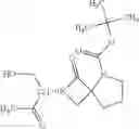 Fig. 29 - Spiro-lactam NMDA receptor modulators and uses thereof