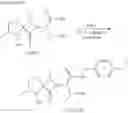 Fig. 96 - Spiro-lactam NMDA receptor modulators and uses thereof