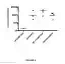 Fig. 07 - COMPOUNDS AND FORMULATIONS FOR TREATING OPHTHALMIC DISEASES