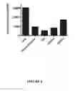 Fig. 09 - COMPOUNDS AND FORMULATIONS FOR TREATING OPHTHALMIC DISEASES
