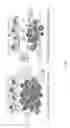 Fig. 04 - COMPOSITIONS AND METHODS FOR RESTORING THE IMMUNE SYSTEM