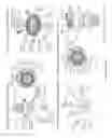 Fig. 05 - COMPOSITIONS AND METHODS FOR RESTORING THE IMMUNE SYSTEM