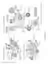 Fig. 06 - COMPOSITIONS AND METHODS FOR RESTORING THE IMMUNE SYSTEM