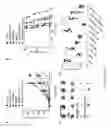 Fig. 32 - COMPOSITIONS AND METHODS FOR RESTORING THE IMMUNE SYSTEM