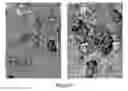 Fig. 06 - Method for poly signal activation of apoptosis of malignant solid tumour cells