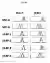 Fig. 06 - Genetically engineered drug resistant T cells and methods of using the same