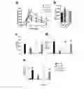 Fig. 07 - Use of pasteurized for treating metabolic disorders