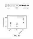 Fig. 26 - Compositions and methods for protecting the kidney from ischemia reperfusion injury