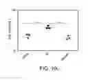 Fig. 29 - Compositions and methods for protecting the kidney from ischemia reperfusion injury