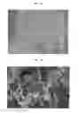 Fig. 12 - Functional hydrated hyaluronic acid and method for producing coated lactic acid bacteria having excellent intestinal mucoadhesive ability and selective antagonistic action using same