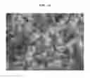 Fig. 14 - Functional hydrated hyaluronic acid and method for producing coated lactic acid bacteria having excellent intestinal mucoadhesive ability and selective antagonistic action using same