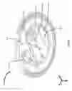 Fig. 10 - Medical device package