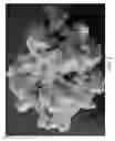 Fig. 02 - Preparation method of itaconate-butadiene bio-based engineering rubber