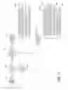 Fig. 09 - Front seat sleeper seat and features