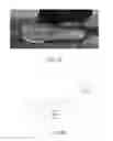 Fig. 32 - Interior rearview mirror assembly with display and tilt mechanism