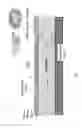 Fig. 02 - Engineered material arresting system and methods for forming same