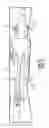Fig. 02 - Axle guard for packaging a bicycle