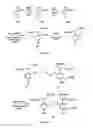 Fig. 08 - Ion-activated photolabile compounds