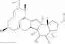 Fig. 02 - Spinosyn derivatives as insecticides