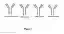 Fig. 02 - Fusion immunomodulatory proteins and methods for making same
