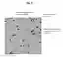 Fig. 09 - Polycarbonate resin composition and molded article thereof