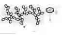 Fig. 02 - Conductive nanocomposites