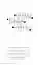 Fig. 02 - PRIMER COMPOSITION AND PHOTOCHROMIC LAMINATE
