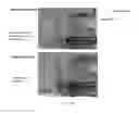 Fig. 06 - Apparatus and methods to remove solids from hydrocarbon streams