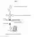 Fig. 02 - Amino acid-modified nucleic acid and utilization thereof