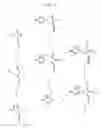 Fig. 04 - Amino acid-modified nucleic acid and utilization thereof