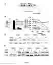 Fig. 02 - Compositions and Methods for Inducing Senescence in Cancer Cells