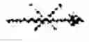Fig. 02 - Biosynthesis of human milk oligosaccharides in engineered bacteria