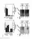 Fig. 02 - Increasing plant oil content by altering a negative regulator of acetyl-coa carboxylase