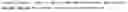 Fig. 02 - Recombinant vectors comprising 2A peptide