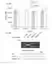 Fig. 49 - METHODS AND COMPOSITIONS FOR RNA-DIRECTED TARGET DNA MODIFICATION AND FOR RNA-DIRECTED MODULATION OF TRANSCRIPTION