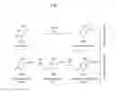 Fig. 02 - OXIDIZING AGENT FOR 5-HYDROXYMETHYLCYTOSINE AND METHOD FOR ANALYZING 5-HYDROXYMETHYLCYTOSINE