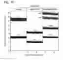 Fig. 07 - Digital assays with a generic reporter