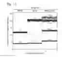 Fig. 08 - Digital assays with a generic reporter