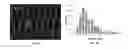 Fig. 09 - Methods and systems for performing digital measurements