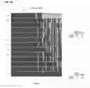 Fig. 08 - Detecting gastric neoplasm