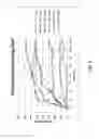Fig. 09 - Method of forming golf club head assembly