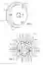 Fig. 02 - Mechanical cam phasing systems and methods