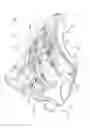 Fig. 02 - Disk brake having a pad-retaining clip and a securing device, and brake pad set