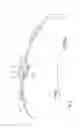 Fig. 08 - Disk brake having a pad-retaining clip and a securing device, and brake pad set